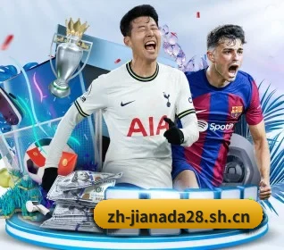 加拿大28 APP